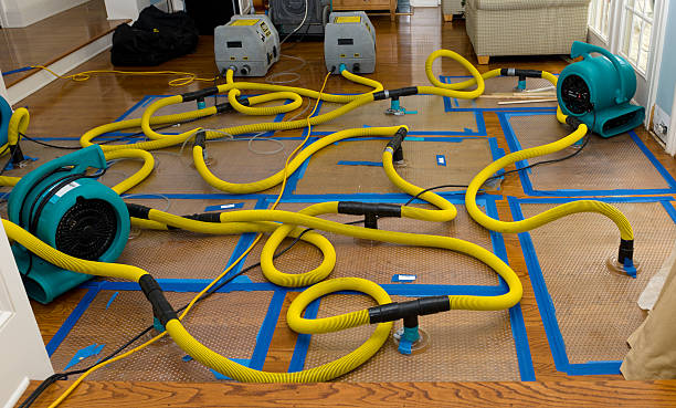 Professional Sewage Cleanup technician working in Atlas, MI